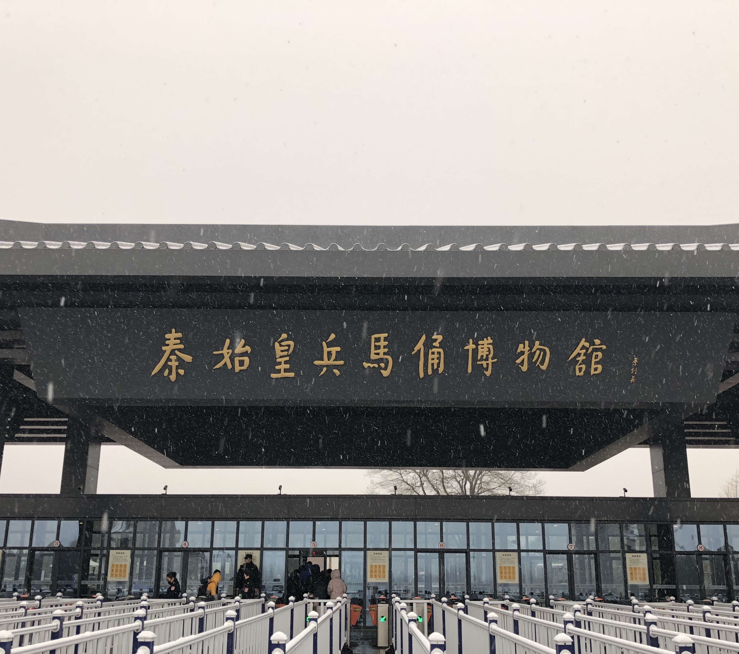 1 day Tour in Xi'an